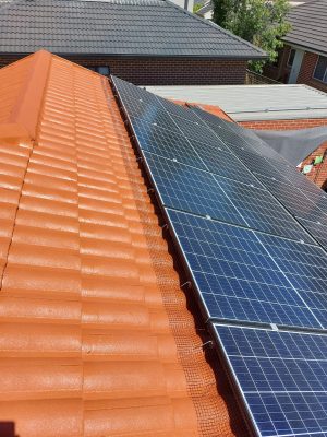 WhatsApp Image 2026-01-12 at 2.05.52 PM