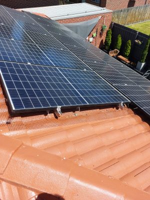 WhatsApp Image 2026-01-12 at 2.05.53 PM (1)