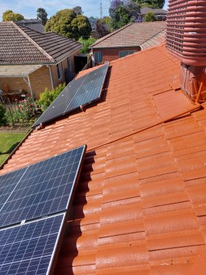 WhatsApp Image 2026-01-12 at 2.05.53 PM (2)