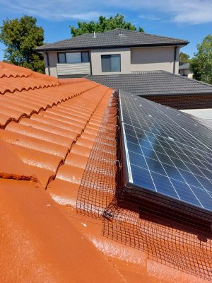 WhatsApp Image 2026-01-12 at 2.05.53 PM