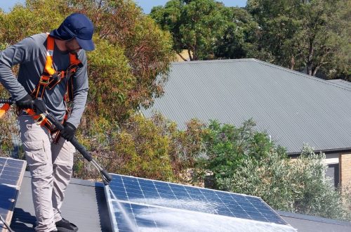 solar panel bird prooing melbourne (1)