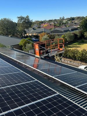 solar panel bird prooing melbourne (10)