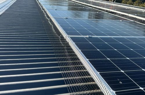 solar panel bird prooing melbourne (6)