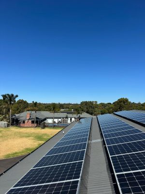 solar panel bird prooing melbourne (8)