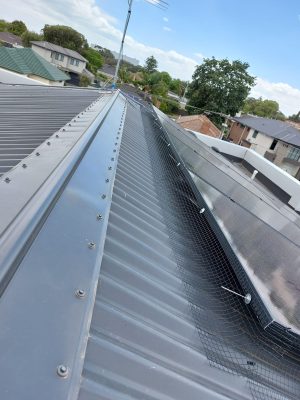 solar panel bird prooing melbourne (9)